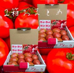 市場直送アメーラトマト2箱🍅高糖度 - メルカリ