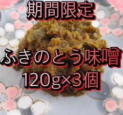 【期間限定】ふき味噌　120g3個　ふきみそ　ふきのとう　山菜　野菜　ご飯のお供