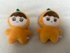 SEVENTEEN(セブンティーン・セブチ) ブ・スングァン(SEUNGKWAN) スングァン ぬいぐるみ シム・ヨン・ラボン