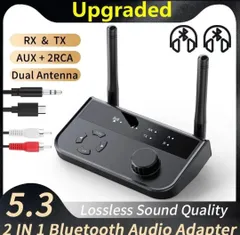 2 in 1 Bluetooth 5.3オーディオレシーバー送信機