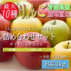 青森県産 最大１０種ミックス りんご【B品3kg】【送料無料】【農家直送】ふじ