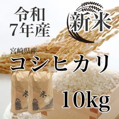 令和７年産  コシヒカリ 新米 10kg 宮崎県産 8月中旬発送