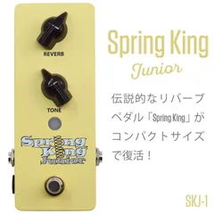 2025年最新】danelectro spring kingの人気アイテム - メルカリ