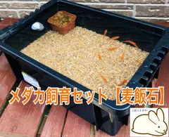 メダカ飼育ケース　麦飯石セットのサムネイル