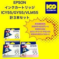 【29120】エプソン　インクカートリッジ　ICY55/ICGY55/ICVLM55 3本セット