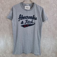 Abercrombie&fitch  アバクロ ブランドロゴ ワッペン アップリケ コーデュロイ グレー　灰色 S Tシャツ