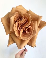 輸入バラ☆キャラメルブラウン☆魅惑のぐるぐる☆花持ち超良☆豪華な大輪花☆生育旺盛☆バラ苗☆バラ☆ Maki3❇︎Rose❇︎Garden