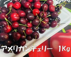 アメリカンチェリー　1kg【冷蔵便発送　送料込】アメリカ産