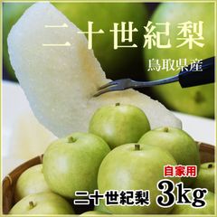 ☆9月上旬(10日頃)～下旬より収穫次第予約順に発送☆鳥取県産 20世紀梨(3ｋｇ箱7-12玉入)【訳あり自家用】果物なしナシ二十世紀梨203
