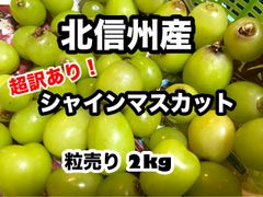 長野県産　シャインマスカット　粒　超訳あり　2kg 完全加工向きのサムネイル