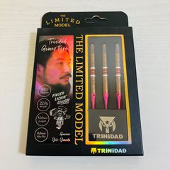 【未使用】TRiNiDAD PRO Gomez 11 限定 トリニダード プロ ゴメス11 山田勇樹 選手モデル ソフト ダーツ