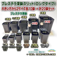 プレステラ深鉢黒スリット＊大きい方から2サイズ：150型×10鉢、180型×10鉢⇒合計20鉢＊多肉植物・塊根植物コーデックス・アガベ・サボテン・盆栽・観葉・ハオルチア・アデニウム・パキポディウム・実生＠フラワーショップ江口のサムネイル