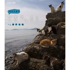 Item thumbnail for item f1f9128f-72f4-4069-9edb-eaa26c05e59b