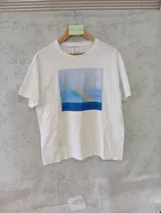 Hanes  Tシャツ  白  古着  T-104