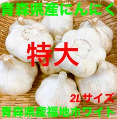 青森県産にんにく玉特大5kg - 野菜