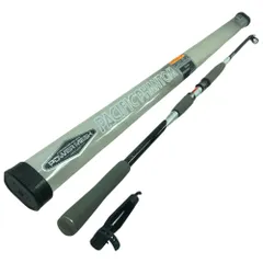 2025年最新】ダイワ ファントム ロッドの人気アイテム - メルカリ