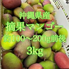 沖縄県産　摘果マンゴー　3kg