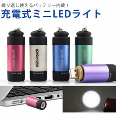 USB充電式 ミニライト 防水 コンパクト 高輝度 キーホルダー キーチェーン カラビナ 軽量 LED アウトドア 散歩 PR-MINI-TORCH