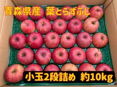 【家庭用】青森県産★葉とらずふじ約10kg小玉★りんご