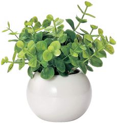 Item thumbnail for item 5ef7612b-4d67-448c-8f1a-ad0744cd99ff