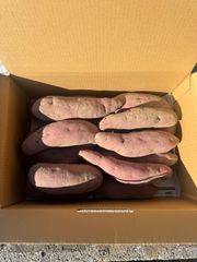 さつまいも　パープルスイートロード　5キロ入り