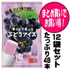 シャーベット アイス おやつ おうちで凍らせて食べるアイス ぶどう 12袋セット お取り寄せグルメ ポイント消化