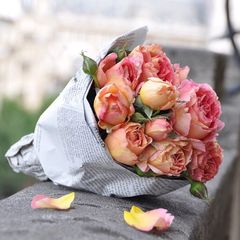 ドライフラワー❣️ナチュラルピンクペッパーベリー 小分け】 ペッパーベリー （ナチュラルピンク） ドライフラワー