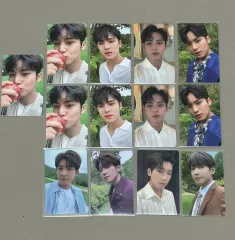 SEVENTEEN(セブンティーン・セブチ) ウォヌ(WONWOO) ミンギュ(MINGYU) まとめ売り