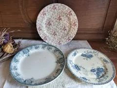 サルグミンヌ　りんごの花　フランス　アンティーク　プレート　皿　平皿 ディゴワンサルグミンヌ Digoin&sarregumines スーププレート/深