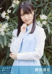 【中古】生写真(AKB48・SKE48) 原田清花/CD「思い出せる恋をしよう」劇場盤特典生写真