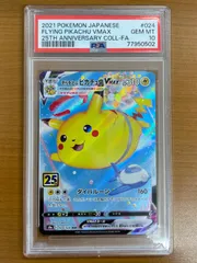 PSA10 そらをとぶピカチュウVmax 024/028 RRR ポケモンカードゲーム ポケカ ポケモン