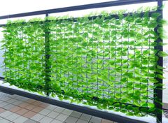 山善(YAMAZEN) リーフラティス 約100×200cm ハードネットタイプ 目隠 装飾 フェイク ベランダ テラス グリーンフェンス グリーンカーテン 日差し 簡単設置 日よけ 日除け ライトグリーン LLH-12C(LG)