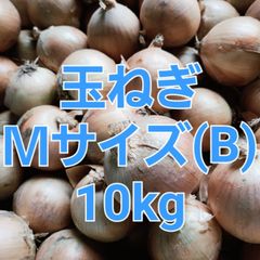 【10kg】北海道産玉ねぎMサイズ【10キロ】B