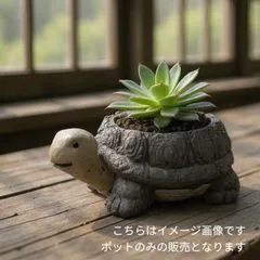 特大亀鉢 特大亀鉢