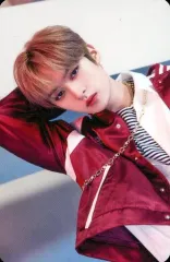 【中古】コレクションカード(男性) Stray Kids/Lee Know(リノ)/「STRAY KIDS × SKZOO POPUP STORE 『THE VICTORY』」ランダムフォトカード