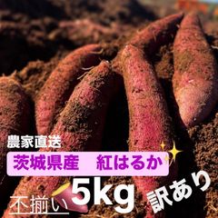[訳あり] 茨城県産 紅はるか さつまいも サイズ不揃い 5キロ