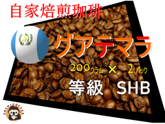 コーヒー豆(自家焙煎) グアテマラ 等級 SHB 200グラム 2パック