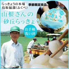 鳥取県産 農薬不使用 砂丘らっきょう〘 16日発送、17日18時以降時間指定〙 限定栽培】農薬不使用の根付き生らっきょう 2kg 【収穫から