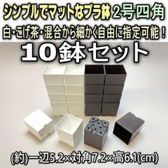 #平日＊日中注文即日発送-シンプルでマットなプラ鉢2号四角(スクエア)-白・こげ茶・混合から10鉢セット＊多肉植物・塊根植物コーデックス・アガベ・サボテン・盆栽・観葉・ハオルチア・アデニウム・パキポディウム・実生＠フラワーショップ江口