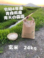令和4年度産❗️青森県産　最高峰ブランド米「青天の霹靂」24キロ玄米
