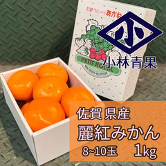 【期間限定品】佐賀県産　麗紅みかん　1kg（8～10玉） 麗紅　みかん　高級柑橘