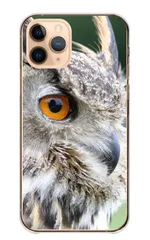 Google Pixel 6a ケース カバー グーグルピクセル6A スマホケース ハードケース フクロウ 梟 鳥 鳥類 ミミズク シマフクロウ シロフクロウ メンフクロウ 写真 可愛い かわいい カラー01