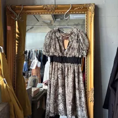 49　Y2k　ワンピース ミニ 蛇柄 ヘビ 平成ギャル ブラウン シフォン　半袖　ミニ　切り替え　セクシー