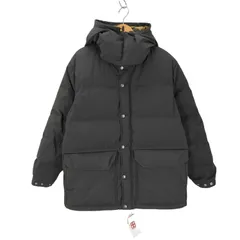 ノースフェイスパープルレーベル THE NORTH FACE PURPLE LABEL 65/35 Sierra Parka メンズ JPN：M 