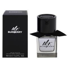 Mr. Burberry Eau de Toilette 100ml - メルカリ