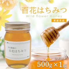 【新商品】百花はちみつ 国産 500g はちみつ 蜂蜜 国産蜂蜜 非加熱 愛媛県産 純度100％ 無添加 国産百花蜂蜜 ハチミツ 健康食品 母の日 美容 お歳暮 お中元 送料無料 YDF-023