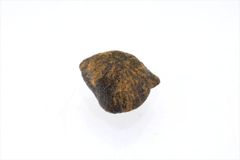 キャメルドンガ 1.0g 原石 標本 隕石 エイコンドライト ユークライト CamelDonga 1