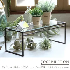 見せたい物を、魅せたいものに変える、アイアンの線の什器