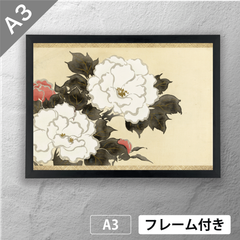 神坂雪佳　「深見草」 日本画（浮世絵）ポスター　A3　マット　その44　【フレーム付】《JP》