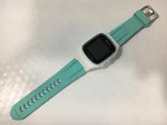 値下げ！美品！保護フィルム付！　グリーンオン　ゴルフウォッチ　ノルムⅡプラス ミヤビックス GreenOn THE GOLF WATCH NORM II PLUS 2枚組 保護